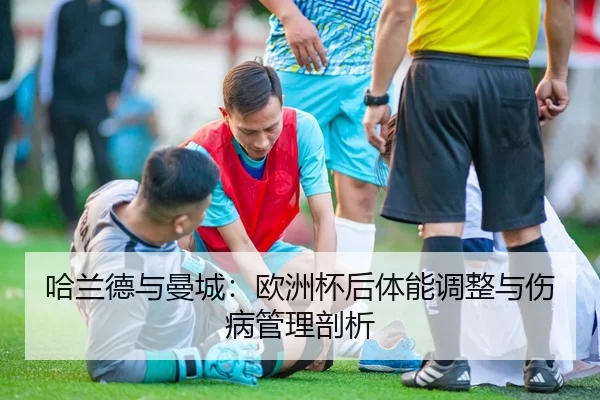 ha-lan-de-yu-man-cheng-ou-zhou-bei-hou-ti-neng-tiao-zheng-yu-shang-bing-guan-li-pou-xi-2-263.jpg